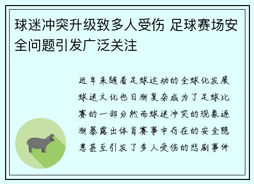 球迷冲突升级致多人受伤 足球赛场安全问题引发广泛关注